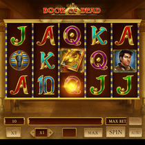WildRobin - Book of Dead Slot Game - Play'n GO